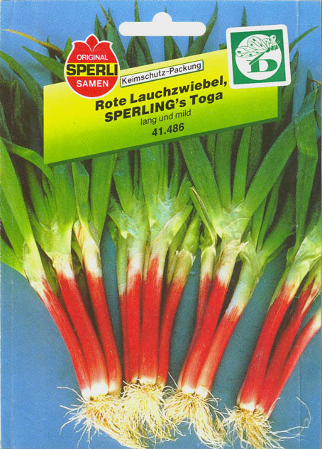 Pibel�g, Toga, Allium fistulosum </i>L<i>