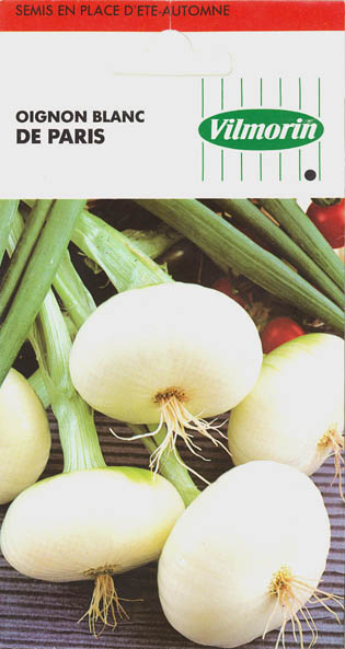 Kepal�g, De Paris, Allium cepa </i>L.<i>