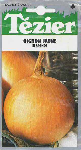 Kepal�g, Espagnol, Allium cepa </i>L.<i>