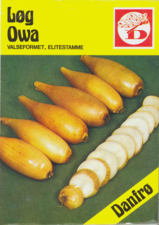 Kepal�g, Owa, Allium cepa </i>L.<i>