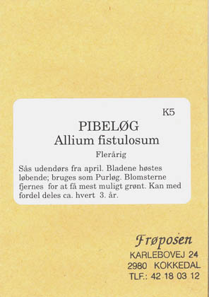 Pibel�g, Pibel�g, Allium fistulosum </i>L<i>
