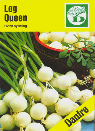 Kepal�g, Queen, Allium cepa </i>L.<i>