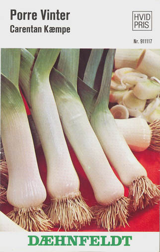 Porre, Carentan k�mpe, Allium porrum </i>L.<i>