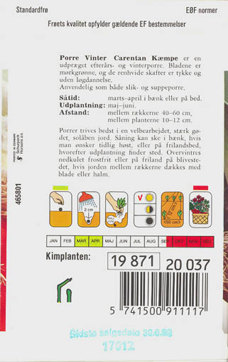 Porre, Carentan k�mpe, Allium porrum </i>L.<i>