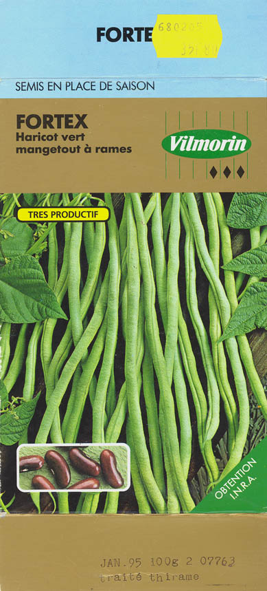 Haveb�nne, Fortex, Phaseolus vulgaris </i>L.<i>