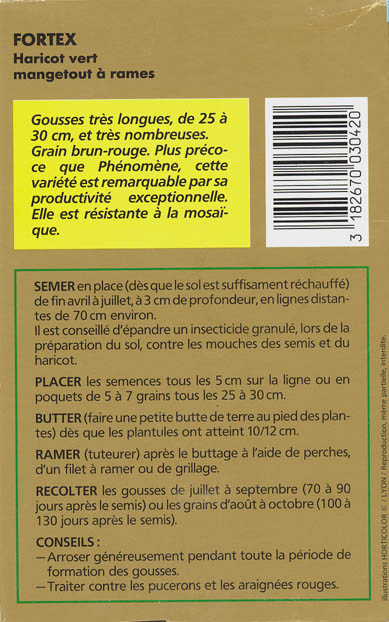 Haveb�nne, Fortex, Phaseolus vulgaris </i>L.<i>