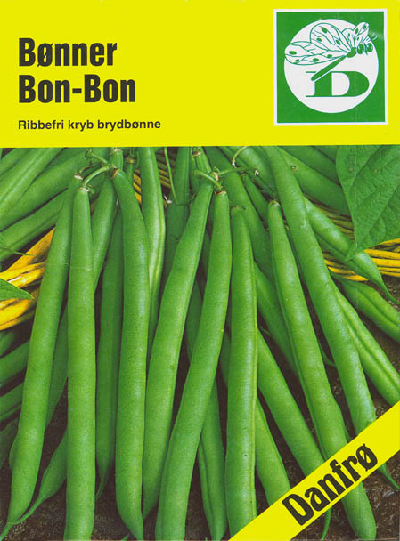 Haveb�nne, Bon-Bon, Phaseolus vulgaris </i>L.<i>