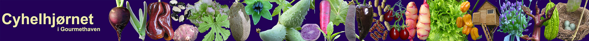 Gourmethaven �kologisk k�kkenhave